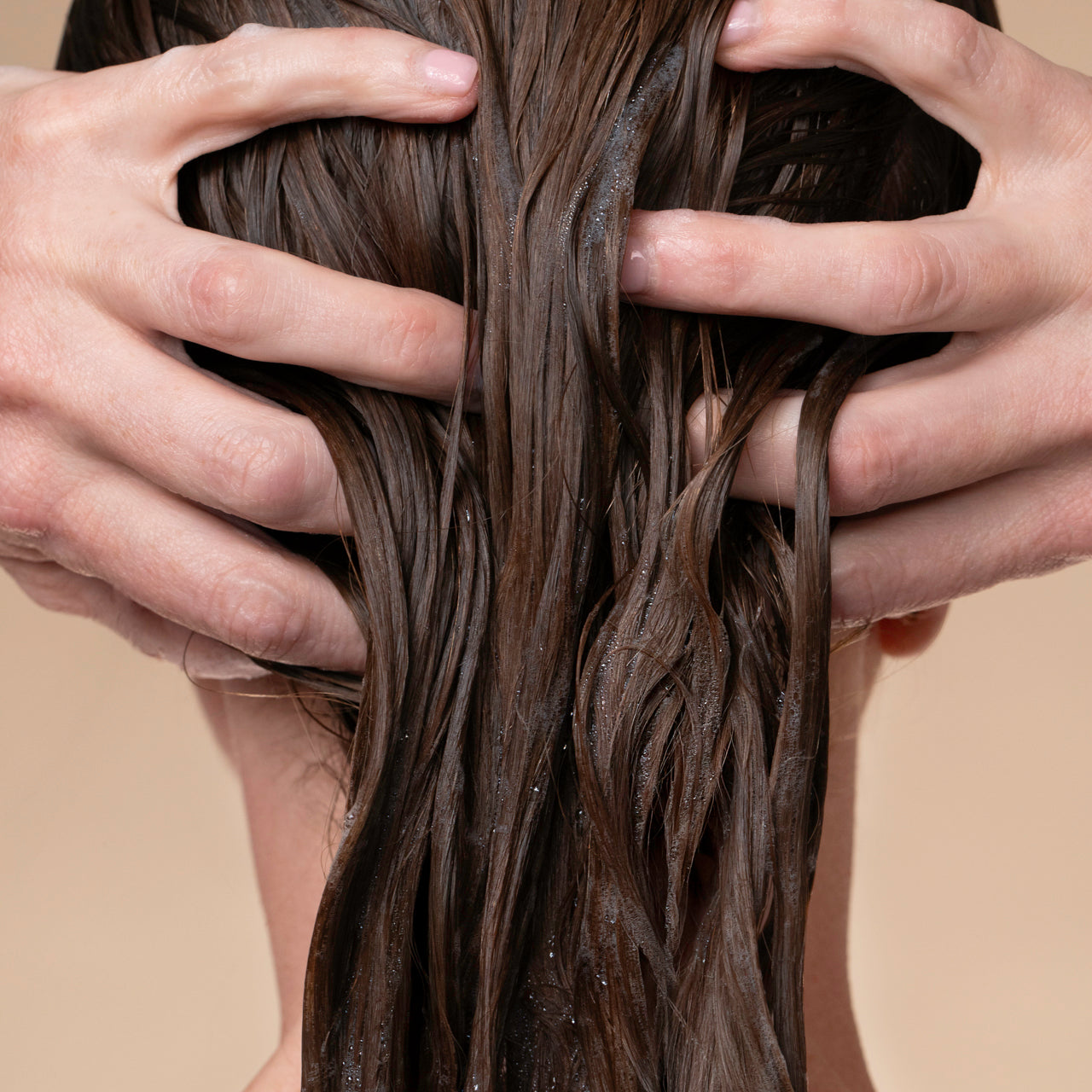 505886-505909-505923-505947-507873-505961-LiquidShampoo-Model-2-1280x1280px_b5f1f5e0-6842-416a-b361-35b74f50f659.jpg